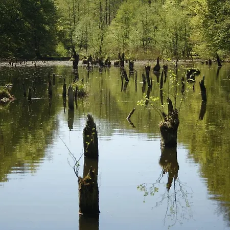 Apartamento Bakonyi Kiscsillag *