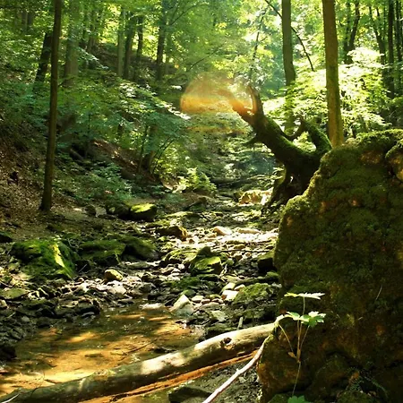 Apartamento Bakonyi Kiscsillag