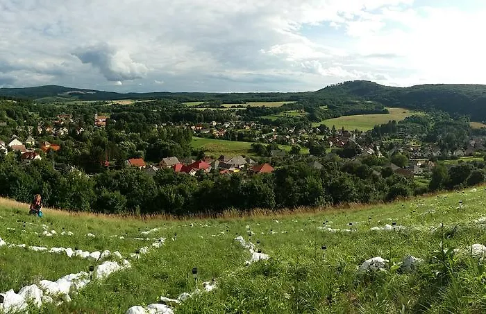 Bakonyi Kiscsillag Апартаменты *